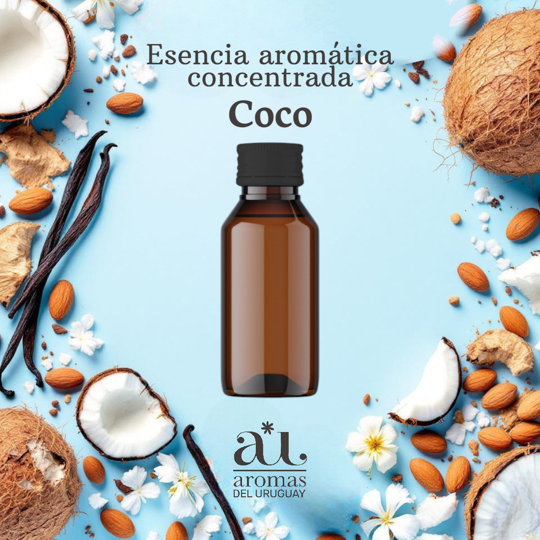 Esencia Coco 500 Cc