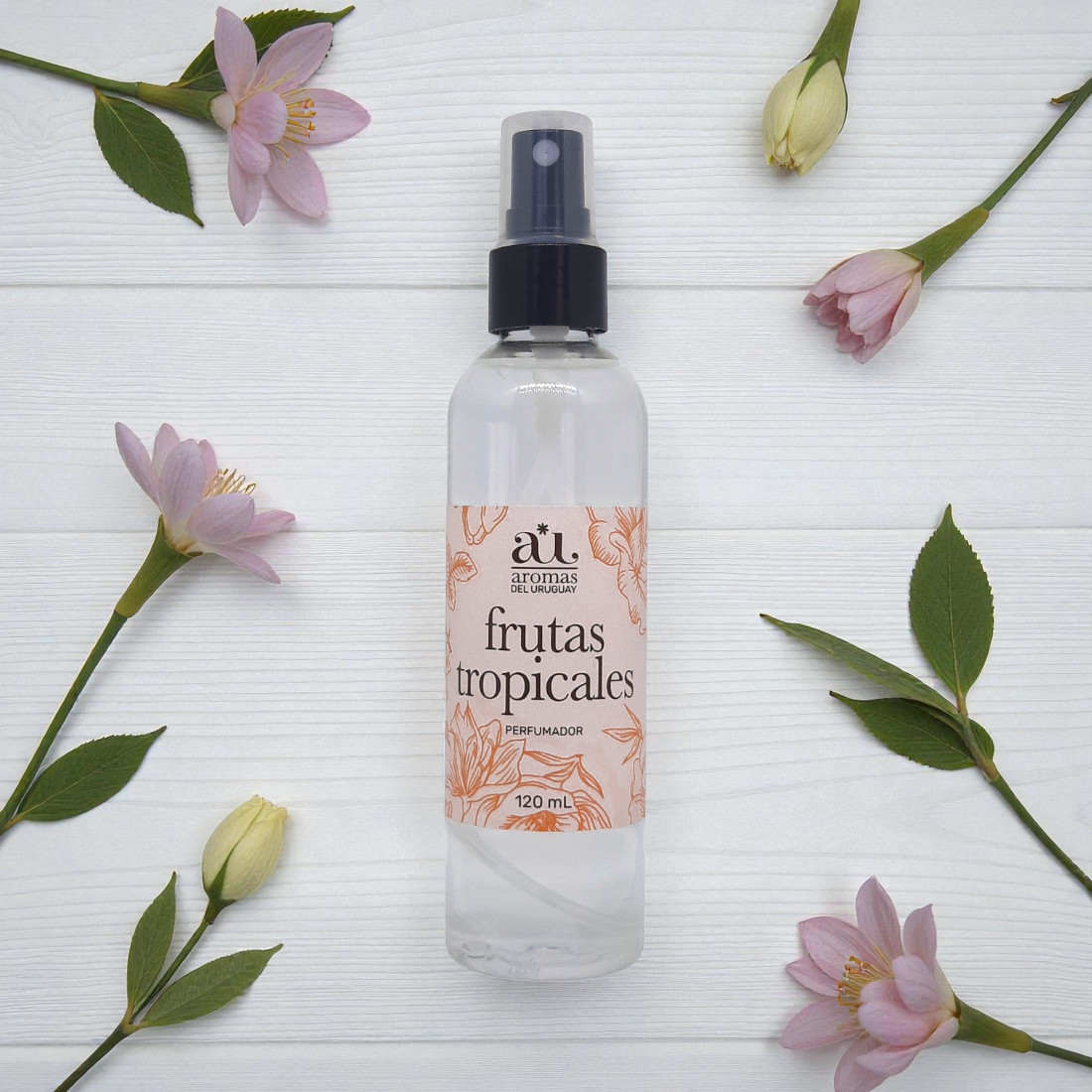 Pack Home - 10 perfumadores línea Home 120 mL - Imagen 6