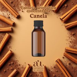 Esencia Canela 500 Cc